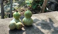 環(huán)保農(nóng)藥系貝斯美：拿IPO批文 計(jì)劃募資4.76億擴(kuò)產(chǎn)