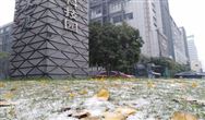 天然氣供暖實現不了！農村清潔取暖從哪入手？